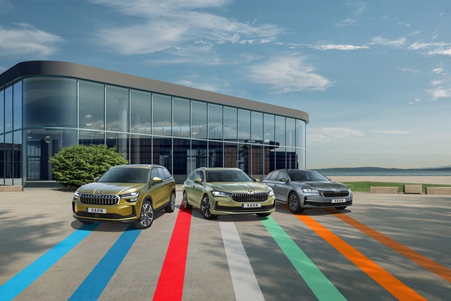 Verschiedene Skoda Modelle in einer Range