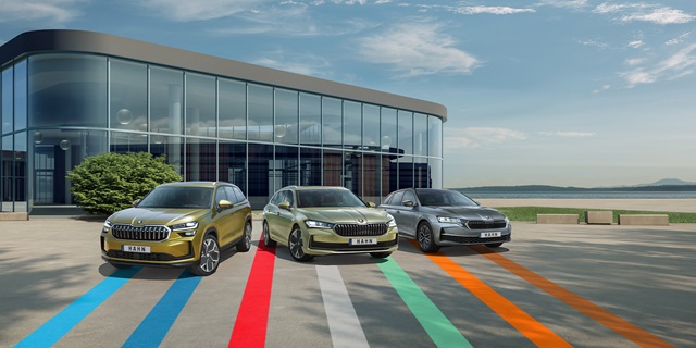 Verschiedene Skoda Modelle in einer Range