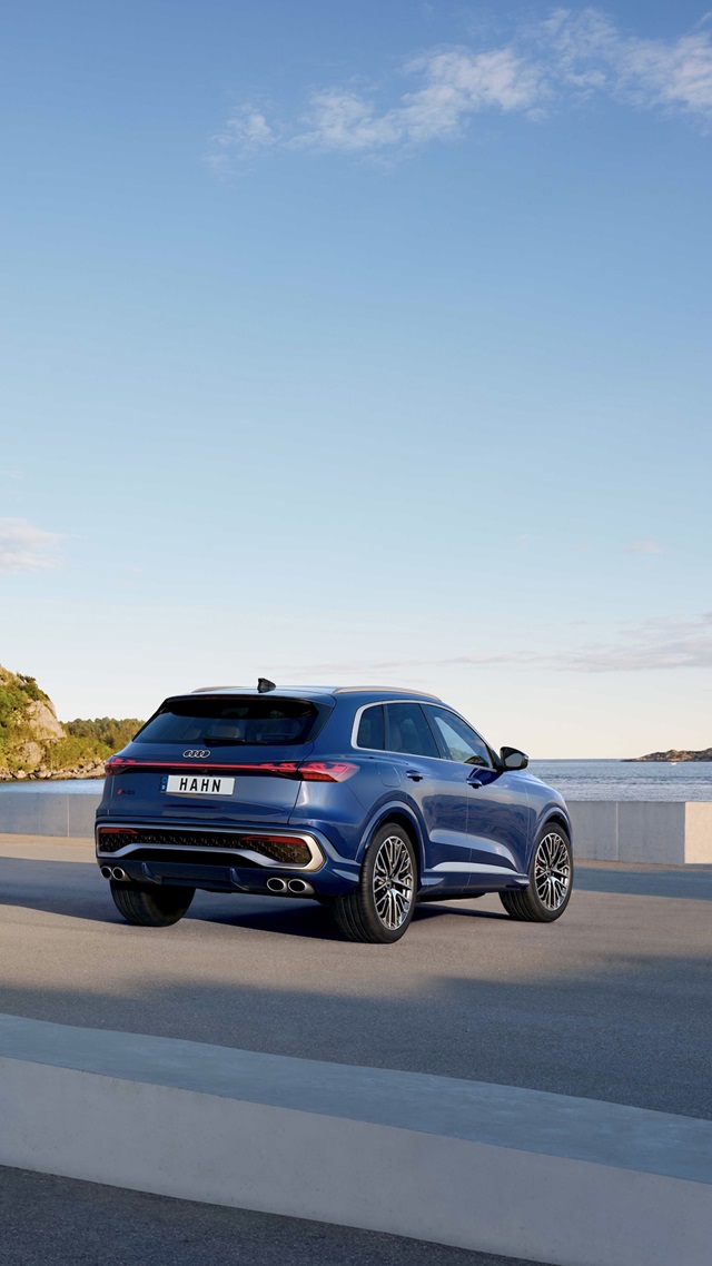 Der Audi SQ5 in Heckansicht parkend vor blauem Himmel